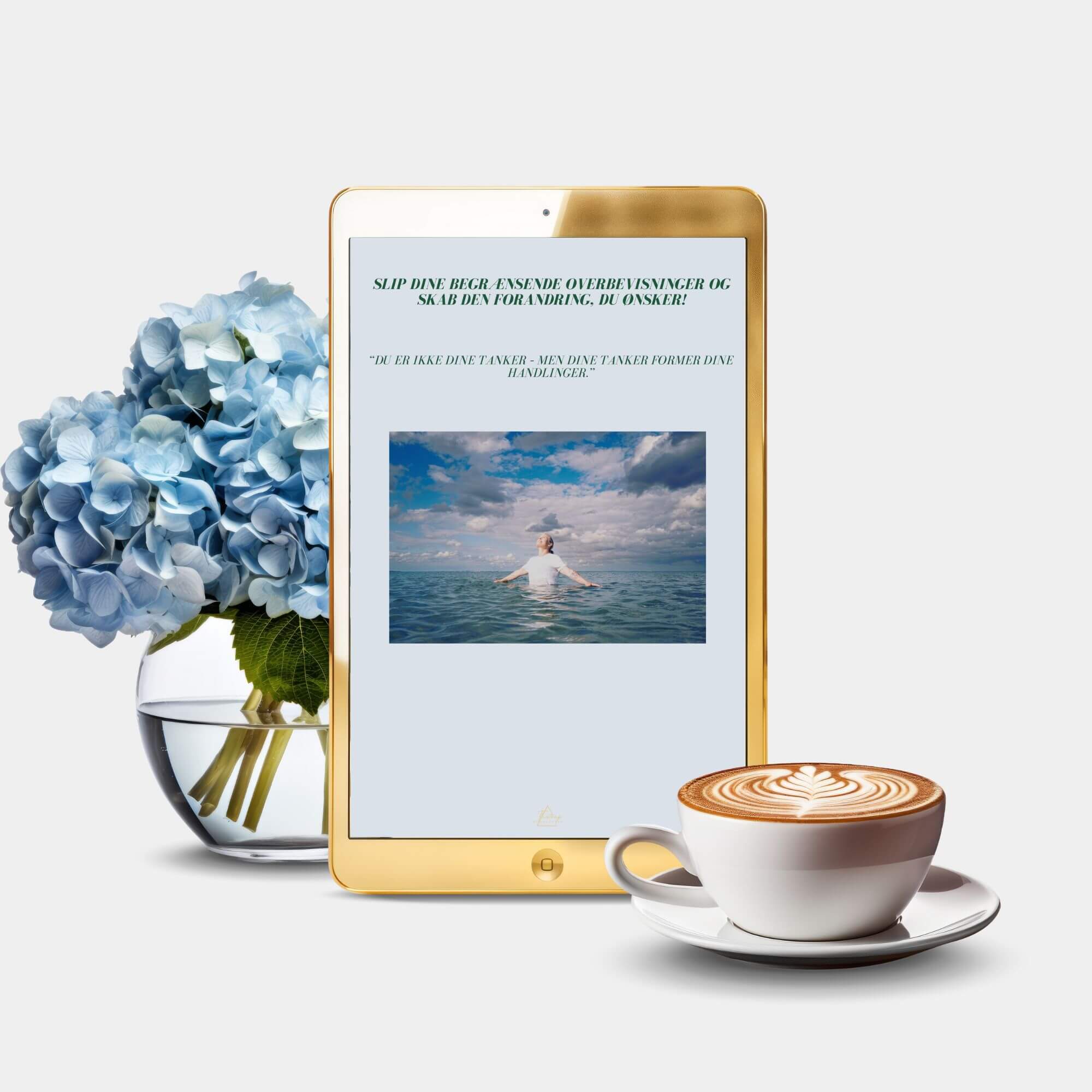 Tilmeld dig blogindlæg Landingpage imposter