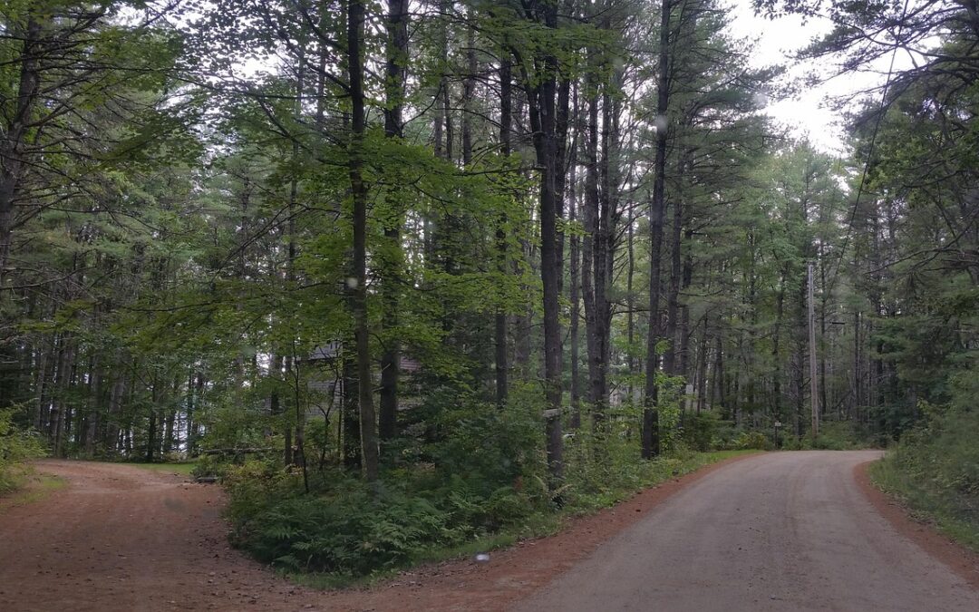 5 nøglemetoder til at balancere intuition og beslutningstagning i hverdagen