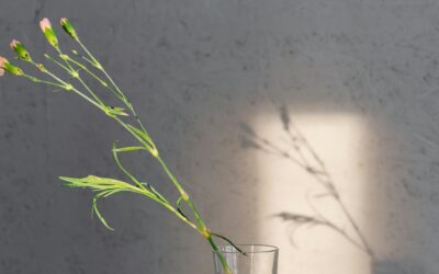 6 grunde til at selvregulering er nøglen til mental sundhed og overskud